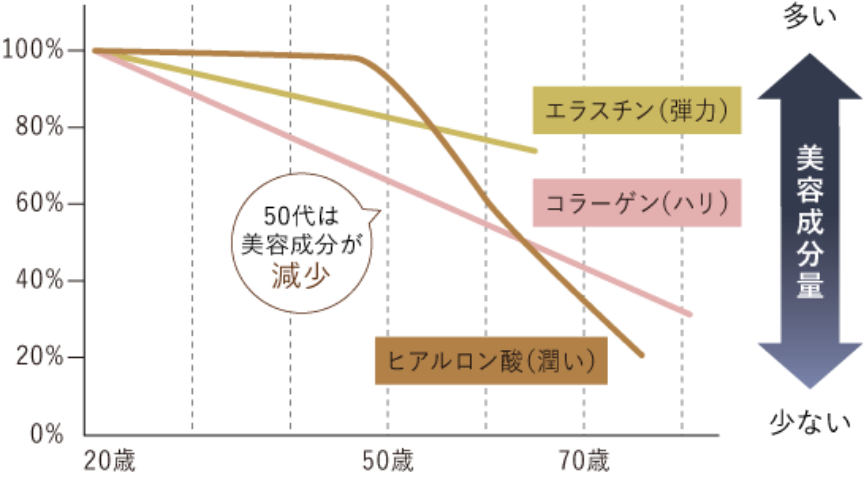 線維芽細胞が作る３大美容成分