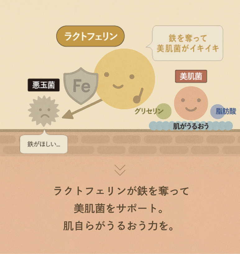 鉄を知り、
鉄で制す。